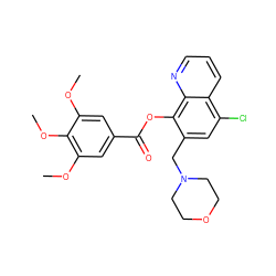 COc1cc(C(=O)Oc2c(CN3CCOCC3)cc(Cl)c3cccnc23)cc(OC)c1OC ZINC000021486906