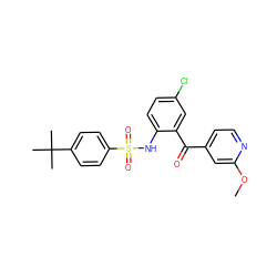 COc1cc(C(=O)c2cc(Cl)ccc2NS(=O)(=O)c2ccc(C(C)(C)C)cc2)ccn1 ZINC000147003022