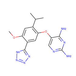 COc1cc(C(C)C)c(Oc2cnc(N)nc2N)cc1-c1nnn[nH]1 ZINC000040421419