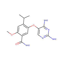 COc1cc(C(C)C)c(Oc2cnc(N)nc2N)cc1C(N)=O ZINC000040429162