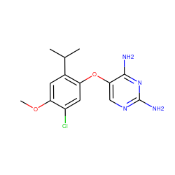 COc1cc(C(C)C)c(Oc2cnc(N)nc2N)cc1Cl ZINC000040834188