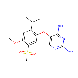 COc1cc(C(C)C)c(Oc2cnc(N)nc2N)cc1S(C)(=O)=O ZINC000040952828