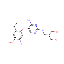 COc1cc(C(C)C)c(Oc2cnc(NCC(CO)CO)nc2N)cc1I ZINC000040957019