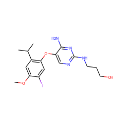 COc1cc(C(C)C)c(Oc2cnc(NCCCO)nc2N)cc1I ZINC000040972456