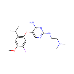 COc1cc(C(C)C)c(Oc2cnc(NCCN(C)C)nc2N)cc1I ZINC000040954761