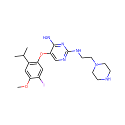 COc1cc(C(C)C)c(Oc2cnc(NCCN3CCNCC3)nc2N)cc1I ZINC000040423683