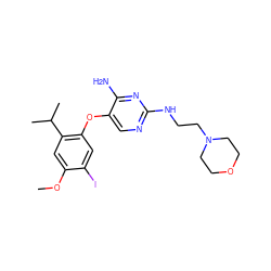 COc1cc(C(C)C)c(Oc2cnc(NCCN3CCOCC3)nc2N)cc1I ZINC000040955475