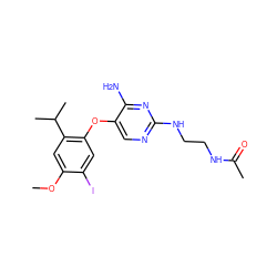 COc1cc(C(C)C)c(Oc2cnc(NCCNC(C)=O)nc2N)cc1I ZINC000040954395