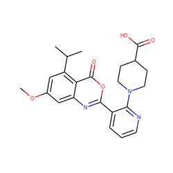 COc1cc(C(C)C)c2c(=O)oc(-c3cccnc3N3CCC(C(=O)O)CC3)nc2c1 ZINC000043064114