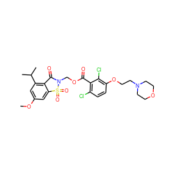 COc1cc(C(C)C)c2c(c1)S(=O)(=O)N(COC(=O)c1c(Cl)ccc(OCCN3CCOCC3)c1Cl)C2=O ZINC000027078566