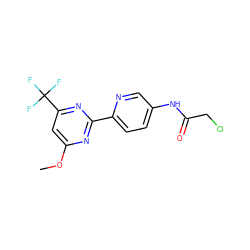 COc1cc(C(F)(F)F)nc(-c2ccc(NC(=O)CCl)cn2)n1 ZINC000064526869