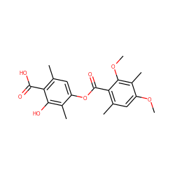 COc1cc(C)c(C(=O)Oc2cc(C)c(C(=O)O)c(O)c2C)c(OC)c1C ZINC000001687273