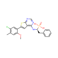 COc1cc(C)c(Cl)cc1-c1cc2c(N[C@H](Cc3ccccc3)P(=O)(O)O)ncnc2s1 ZINC001772573781