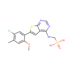 COc1cc(C)c(Cl)cc1-c1cc2c(NCP(=O)(O)O)ncnc2s1 ZINC001772638524