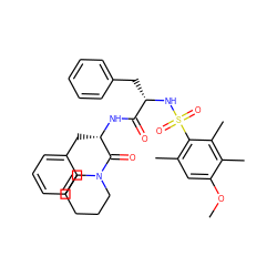 COc1cc(C)c(S(=O)(=O)N[C@@H](Cc2ccccc2)C(=O)N[C@@H](Cc2ccccc2)C(=O)N2CCCCC2)c(C)c1C ZINC000071334743