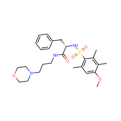 COc1cc(C)c(S(=O)(=O)N[C@@H](Cc2ccccc2)C(=O)NCCCN2CCOCC2)c(C)c1C ZINC000071333958