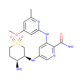 COc1cc(C)nc(Nc2cc(N[C@@H]3CS(=O)(=O)CC[C@@H]3N)cnc2C(N)=O)c1 ZINC000143007381