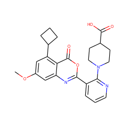 COc1cc(C2CCC2)c2c(=O)oc(-c3cccnc3N3CCC(C(=O)O)CC3)nc2c1 ZINC000100092760