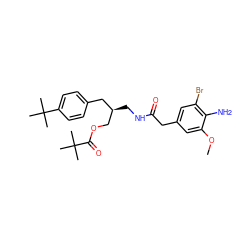 COc1cc(CC(=O)NC[C@@H](COC(=O)C(C)(C)C)Cc2ccc(C(C)(C)C)cc2)cc(Br)c1N ZINC000064447062