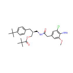 COc1cc(CC(=O)NC[C@@H](COC(=O)C(C)(C)C)Cc2ccc(C(C)(C)C)cc2)cc(Cl)c1N ZINC000064437123