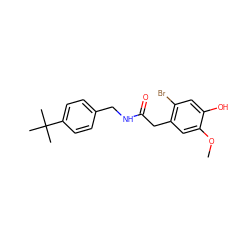 COc1cc(CC(=O)NCc2ccc(C(C)(C)C)cc2)c(Br)cc1O ZINC000064436873