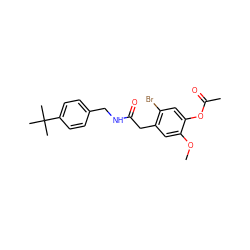 COc1cc(CC(=O)NCc2ccc(C(C)(C)C)cc2)c(Br)cc1OC(C)=O ZINC000064447787