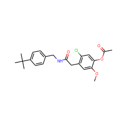 COc1cc(CC(=O)NCc2ccc(C(C)(C)C)cc2)c(Cl)cc1OC(C)=O ZINC000064446622