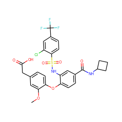 COc1cc(CC(=O)O)ccc1Oc1ccc(C(=O)NC2CCC2)cc1NS(=O)(=O)c1ccc(C(F)(F)F)cc1Cl ZINC000073258505