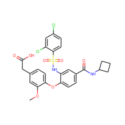 COc1cc(CC(=O)O)ccc1Oc1ccc(C(=O)NC2CCC2)cc1NS(=O)(=O)c1ccc(Cl)cc1Cl ZINC000049694420