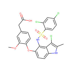 COc1cc(CC(=O)O)ccc1Oc1ccc2[nH]c(C)c(Cl)c2c1NS(=O)(=O)c1ccc(Cl)cc1Cl ZINC000117764184