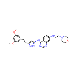 COc1cc(CCc2cc(Nc3ncnc4cc(NCCN5CCOCC5)ccc34)n[nH]2)cc(OC)c1 ZINC000653850833