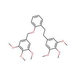 COc1cc(CCc2ccccc2OCc2cc(OC)c(OC)c(OC)c2)cc(OC)c1OC ZINC000169311012