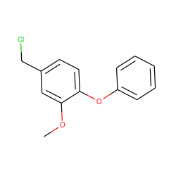 COc1cc(CCl)ccc1Oc1ccccc1 ZINC000028869372