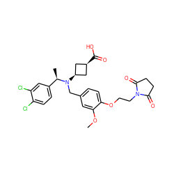 COc1cc(CN([C@H]2C[C@@H](C(=O)O)C2)[C@H](C)c2ccc(Cl)c(Cl)c2)ccc1OCCN1C(=O)CCC1=O ZINC000473229048