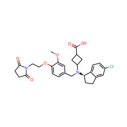 COc1cc(CN(C2CC(C(=O)O)C2)[C@@H]2CCc3cc(Cl)ccc32)ccc1OCCN1C(=O)CCC1=O ZINC000206148470