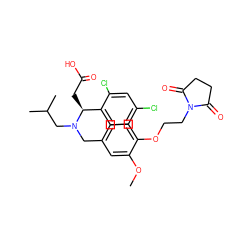 COc1cc(CN(CC(C)C)[C@@H](CC(=O)O)c2ccc(Cl)cc2Cl)ccc1OCCN1C(=O)CCC1=O ZINC000225117085