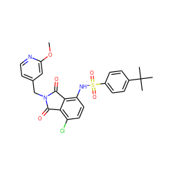 COc1cc(CN2C(=O)c3c(Cl)ccc(NS(=O)(=O)c4ccc(C(C)(C)C)cc4)c3C2=O)ccn1 ZINC000653847507