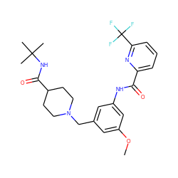 COc1cc(CN2CCC(C(=O)NC(C)(C)C)CC2)cc(NC(=O)c2cccc(C(F)(F)F)n2)c1 ZINC001772570254