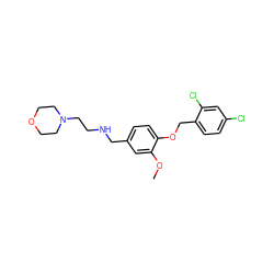 COc1cc(CNCCN2CCOCC2)ccc1OCc1ccc(Cl)cc1Cl ZINC000019922778