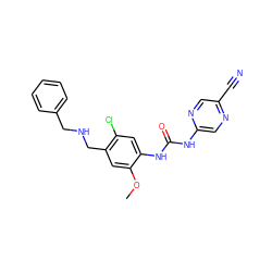 COc1cc(CNCc2ccccc2)c(Cl)cc1NC(=O)Nc1cnc(C#N)cn1 ZINC000140058476