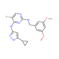 COc1cc(CNc2ncc(Br)c(Nc3cc(C4CC4)[nH]n3)n2)cc(OC)c1 ZINC000203005140