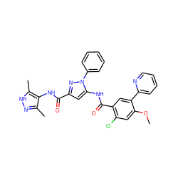 COc1cc(Cl)c(C(=O)Nc2cc(C(=O)Nc3c(C)n[nH]c3C)nn2-c2ccccc2)cc1-c1ccccn1 ZINC001772599500