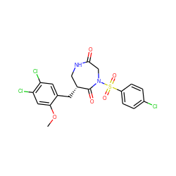 COc1cc(Cl)c(Cl)cc1C[C@@H]1CNC(=O)CN(S(=O)(=O)c2ccc(Cl)cc2)C1=O ZINC000028894399