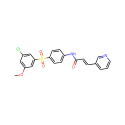 COc1cc(Cl)cc(S(=O)(=O)c2ccc(NC(=O)/C=C/c3cccnc3)cc2)c1 ZINC000142329734