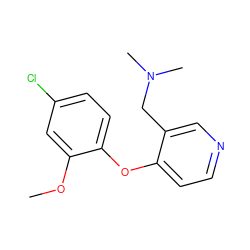 COc1cc(Cl)ccc1Oc1ccncc1CN(C)C ZINC000029046469