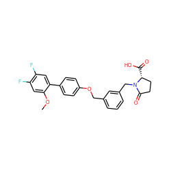 COc1cc(F)c(F)cc1-c1ccc(OCc2cccc(CN3C(=O)CC[C@H]3C(=O)O)c2)cc1 ZINC000072315348