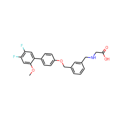 COc1cc(F)c(F)cc1-c1ccc(OCc2cccc(CNCC(=O)O)c2)cc1 ZINC000117830825