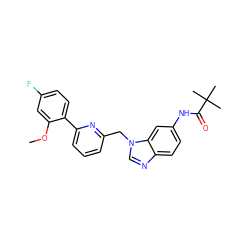 COc1cc(F)ccc1-c1cccc(Cn2cnc3ccc(NC(=O)C(C)(C)C)cc32)n1 ZINC000058581191