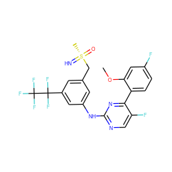 COc1cc(F)ccc1-c1nc(Nc2cc(C[S@@](C)(=N)=O)cc(C(F)(F)C(F)(F)F)c2)ncc1F ZINC000206903238