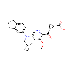 COc1cc(N(CC2(C)CC2)c2ccc3c(c2)CCC3)cnc1C(=O)[C@H]1C[C@@H]1C(=O)O ZINC001772571555